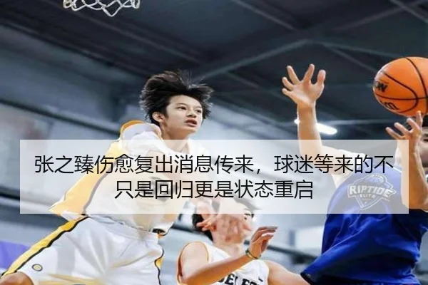 张之臻伤愈复出消息传来，球迷等来的不只是回归更是状态重启（bet365）